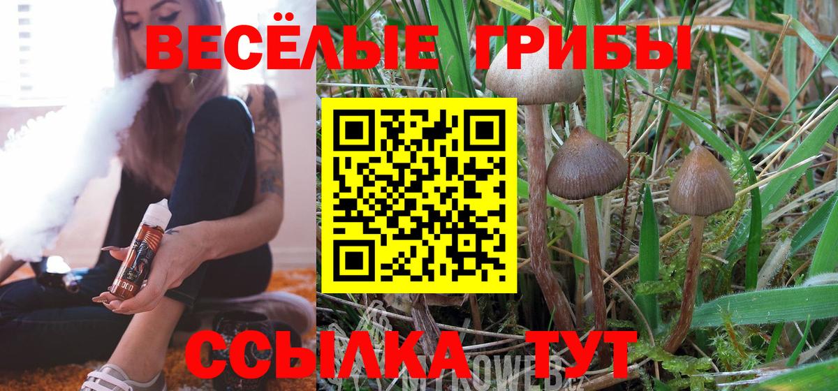 Галлюциногенные грибы прущие грибы Сосновоборск