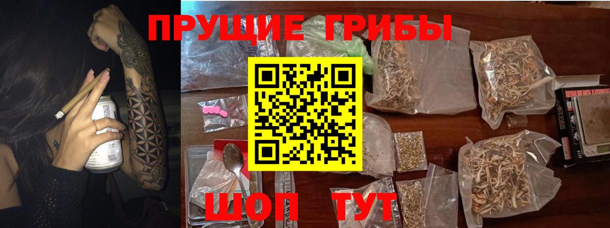 Сосновоборск  Галлюциногенные грибы мицелий  Вход с VPN  Галлюциногенные грибы мухоморы 